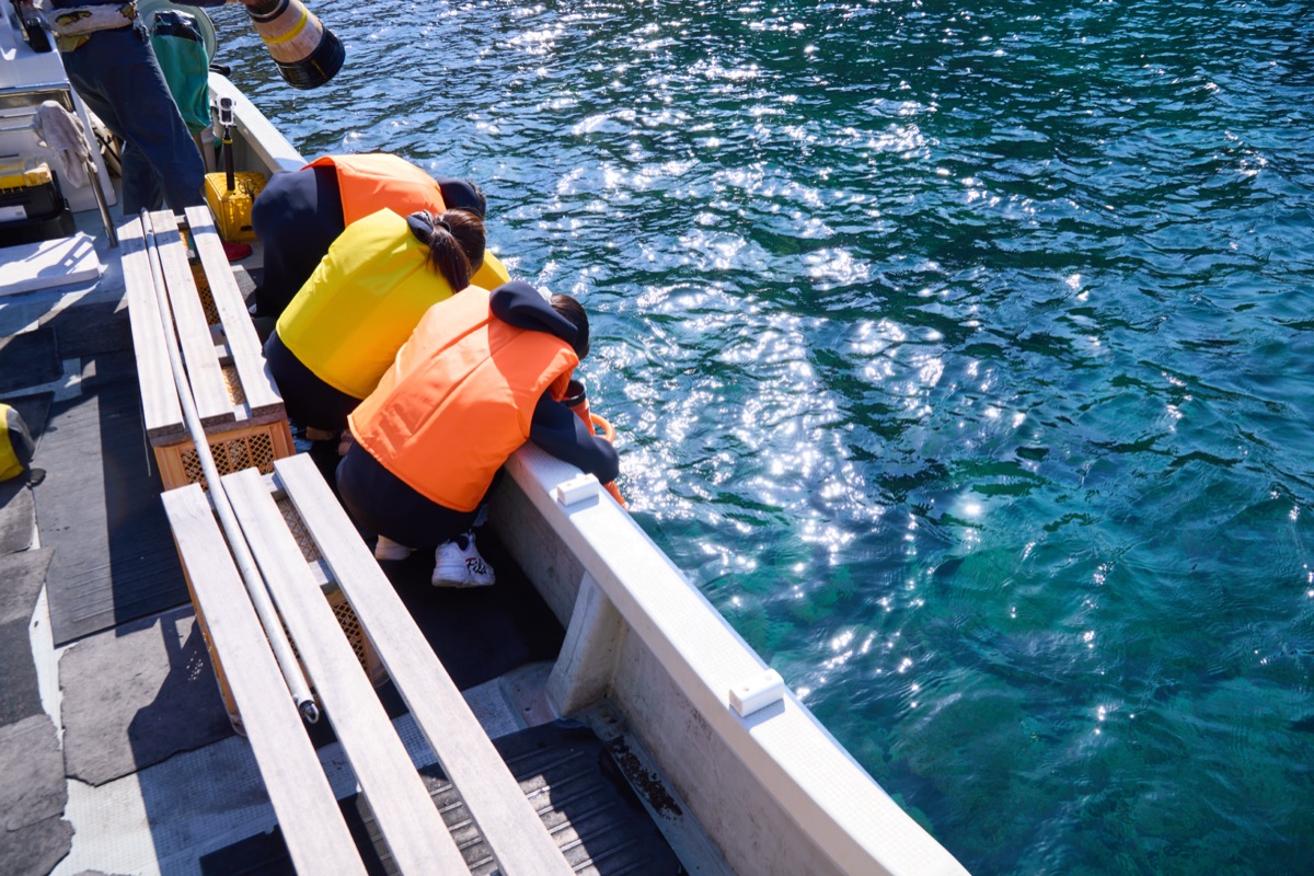 午後の海を巡るクルージングと箱メガネ水中観察